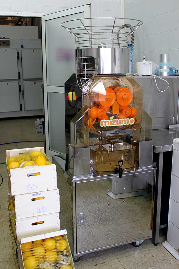 Exprimidores de naranjas que ayudan al exito - Granizados Granny