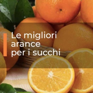 Le-migliori-arance-per-i-succhi