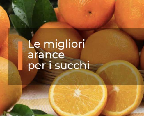 Le-migliori-arance-per-i-succhi