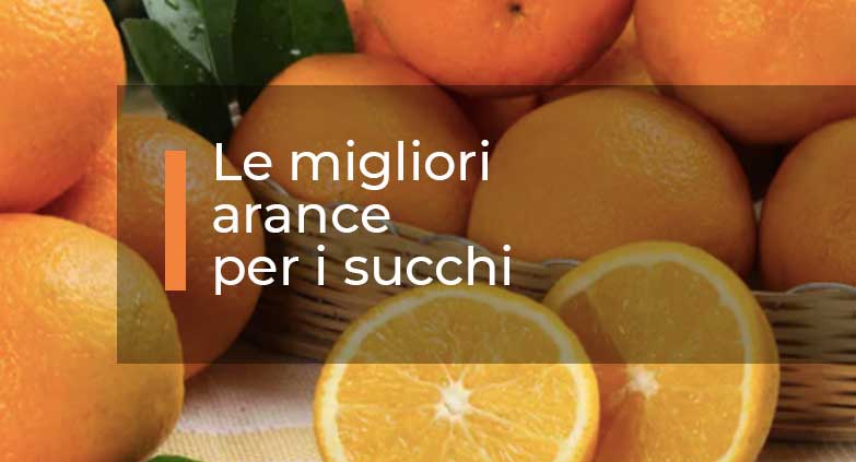 Le-migliori-arance-per-i-succhi