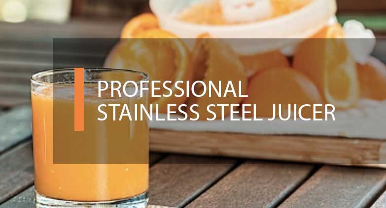 Professional Stainless Steel Juicer