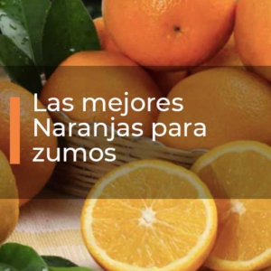 naranjas-para-zumos