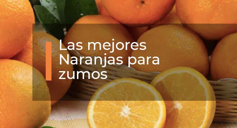 naranjas-para-zumos