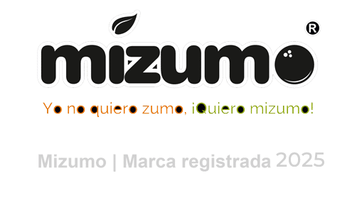 logo mizumo